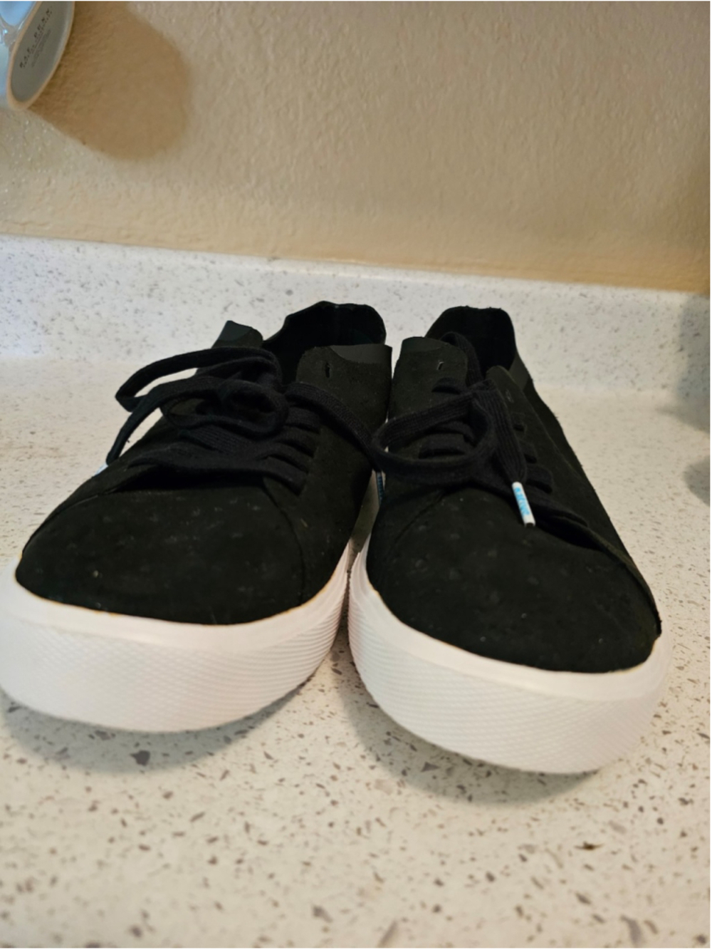 Native Men Monaco Low (black / jiffy / shell white)